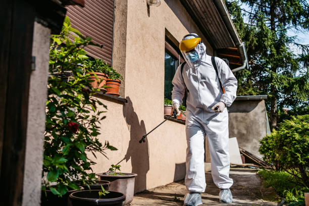 Best Mosquito Control Services  in Algoma, WI