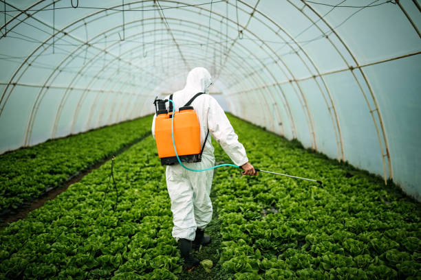 Best Best Pest Control Companies  in Algoma, WI