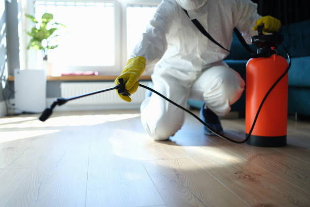 Best Flea Control Services  in Algoma, WI