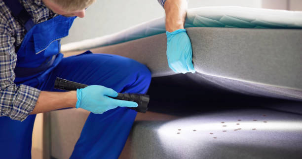 Best Flea Control Services  in Algoma, WI
