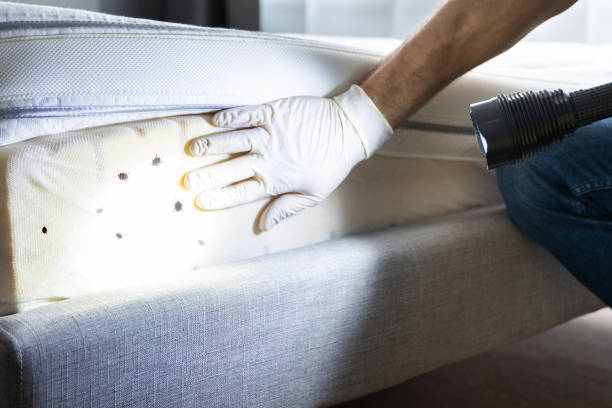 Best Pest Inspection Near Me  in Algoma, WI