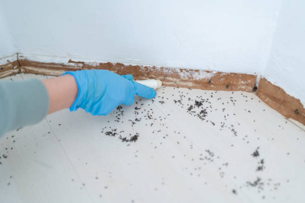 Best Pest Control for Businesses  in Algoma, WI